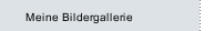 Meine Bildergallerie
