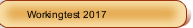 Workingtest 2017